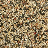 Kaytee Songbird Nut & Fruit Wild Bird Food 10 lb, Pack of 4