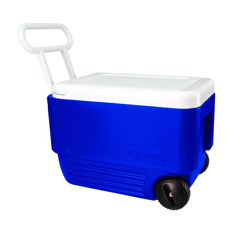 Igloo Wheelie Cool Blue 38 qt Roller Cooler, Pack of 2