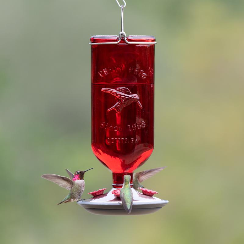 Perky-Pet Hummingbird 16 oz Glass/Metal/Plastic Antique Bottle Nectar Bird Feeder 4 ports, Pack of 2