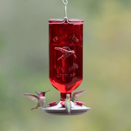Perky-Pet Hummingbird 16 oz Glass/Metal/Plastic Antique Bottle Nectar Bird Feeder 4 ports, Pack of 2