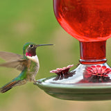 Perky-Pet Hummingbird 16 oz Glass/Metal/Plastic Antique Bottle Nectar Bird Feeder 4 ports, Pack of 2
