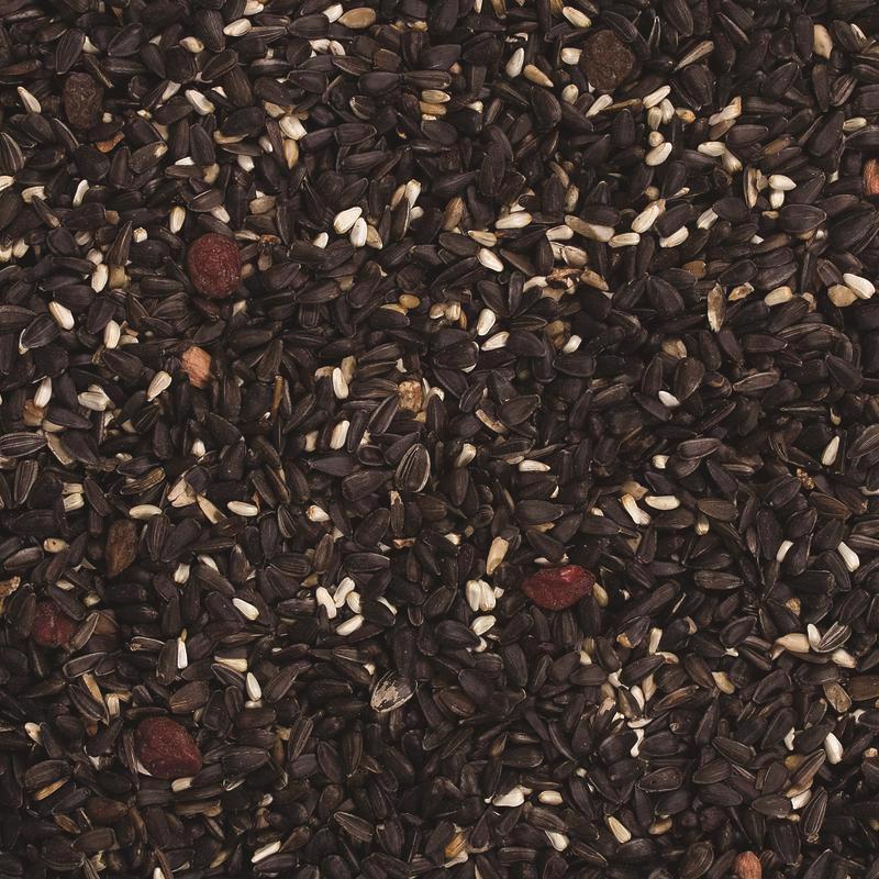 Wild Delight Songbird Sunflower Seeds Wild Bird Food 8 lb
