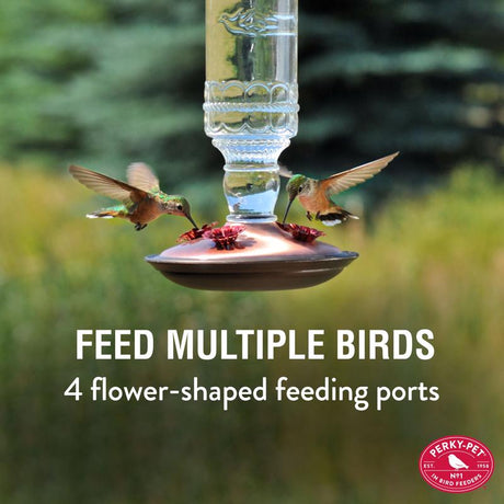 Perky-Pet Hummingbird 10 oz Glass/Metal Antique Bottle Nectar Bird Feeder 4 ports, Pack of 2
