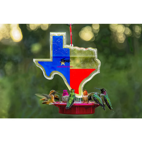 Humdinger Texas Hummingbird 22 oz Plastic Bottle Nectar Bird Feeder 8 ports