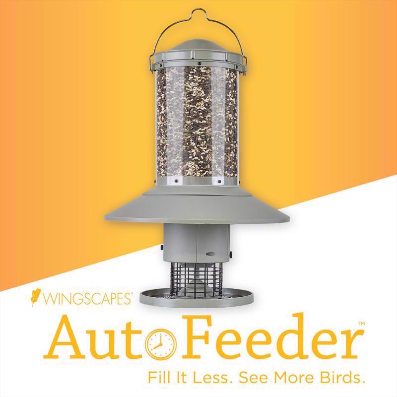 Wingscapes Wild Bird 1 gal Plastic Auto Feed Tube Bird Feeder 1 ports