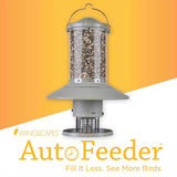 Wingscapes Wild Bird 1 gal Plastic Auto Feed Tube Bird Feeder 1 ports