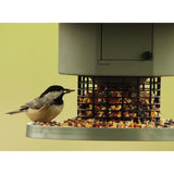 Wingscapes Wild Bird 1 gal Plastic Auto Feed Tube Bird Feeder 1 ports