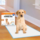 Four Paws No Worries Plastic Training Pads 100 pk