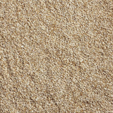 Ace Songbird Safflower Seeds Wild Bird Food 10 lb, Pack of 4