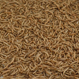 Kaytee Songbird Dried Mealworm Mealworms 17.6 oz, Pack of 4