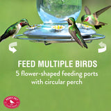 Perky-Pet Hummingbird 32 oz Glass/Metal Mason Jar Nectar Bird Feeder 5 ports, Pack of 2