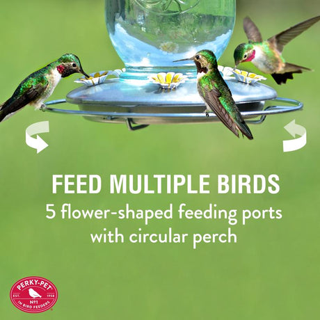 Perky-Pet Hummingbird 32 oz Glass/Metal Mason Jar Nectar Bird Feeder 5 ports, Pack of 2