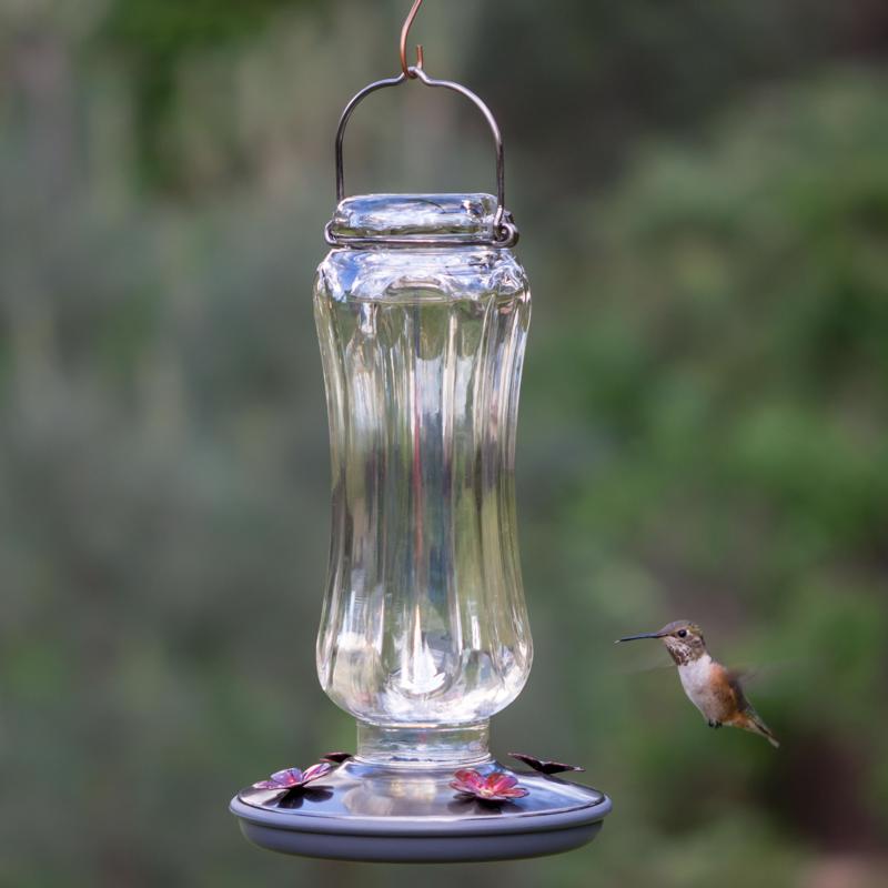 Perky-Pet Hummingbird 16 oz Glass/Metal Nectar Bird Feeder 4 ports, Pack of 2