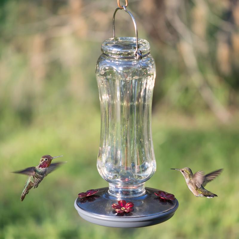Perky-Pet Hummingbird 16 oz Glass/Metal Nectar Bird Feeder 4 ports, Pack of 2
