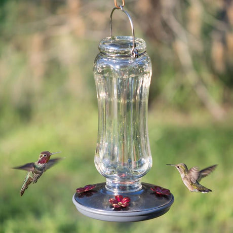 Perky-Pet Hummingbird 16 oz Glass/Metal Nectar Bird Feeder 4 ports, Pack of 2