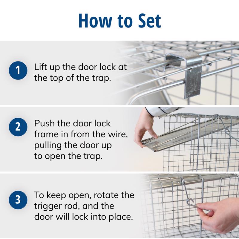 Havahart Large Live Catch Cage Trap For Cats and Raccoons 1 pk