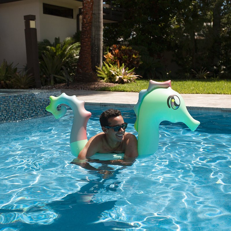 PoolCandy PC1740SEA Ride-On Pool Noodle, Seahorse, PVC, Multi-Color