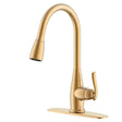 Boston Harbor 25PB019-002 Pull-Down Kitchen Faucet, 1.8 gpm, 1-Faucet Handle, 1, 3-Faucet Hole, Brass, Champagne Gold