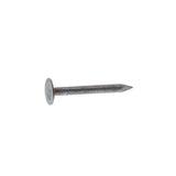 Grip-Rite 7/8 in. Roofing Electro-Galvanized Steel Nail Flat Head 5 lb, Pack of 6
