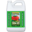 Grow Big 790300 Plant Food, 1 gal, Liquid, Pack of 4