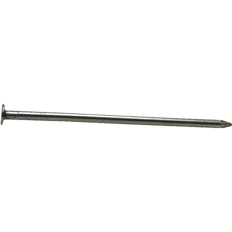 ORGILL BULK NAILS 0054212 Common Nail, 4-1/2 in L, 5 ga, Flat Head, 50.85 lb Package