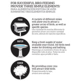 Ace Songbird Black Oil Sunflower Seed Wild Bird Food 10 lb