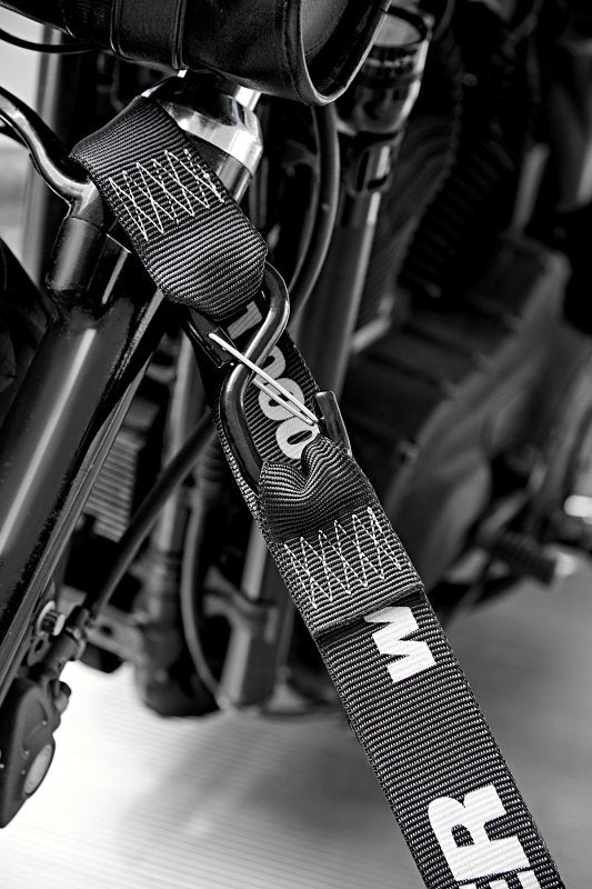 Keeper 47309 Tie-Down Cam Buckle Strap with S-Hooks, 2 in W, 10 ft L, 1000 lb Working Load, Black