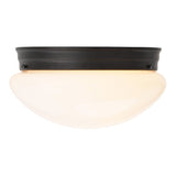 Boston Harbor OG24008 Ceiling Light, 120 V, 2-Lamp, CFL, Incandescent, LED Lamp, Metal Fixture, Matte Black Fixture