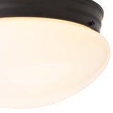 Boston Harbor OG24008 Ceiling Light, 120 V, 2-Lamp, CFL, Incandescent, LED Lamp, Metal Fixture, Matte Black Fixture