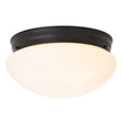 Boston Harbor OG24008 Ceiling Light, 120 V, 2-Lamp, CFL, Incandescent, LED Lamp, Metal Fixture, Matte Black Fixture