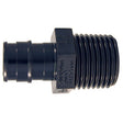 Apollo EPXPAM1225PK Adapter, 1/2 in, PEX x MPT, PEX-A, Poly Alloy, 200 psi Pressure