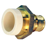 Apollo EPXCPVC34 Straight Adapter, 3/4 in, Slip x PEX, PEX-A, Brass, 180 psi Pressure
