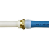 Apollo EPXPVC34 Straight Adapter, 3/4 in, PEX x PVC, PEX-A, Brass, SCH 40 Schedule, 200 psi Pressure