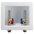 Apollo Valves Tectite FSBBOXWMWH Outlet Box, 1/2 x 1/4 in Connection, Brass