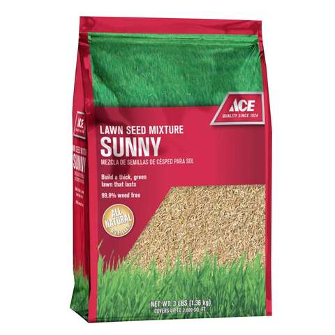 Ace Turf Grass Seed - Thumbnail 3