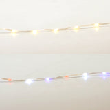Living Accents LED Big Seed Color Changing Light Set Multicolored 33 ft. 200 lights