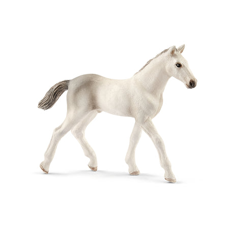 Schleich Horse Club Holsteiner Foal Toy White 1 pc, Pack of 5