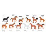 Safari Ltd. Toobs Horses Toy Assorted 12 pc