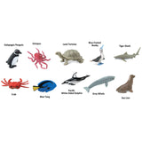 Safari Ltd. Toobs Pacific Toy Assorted 10 pc