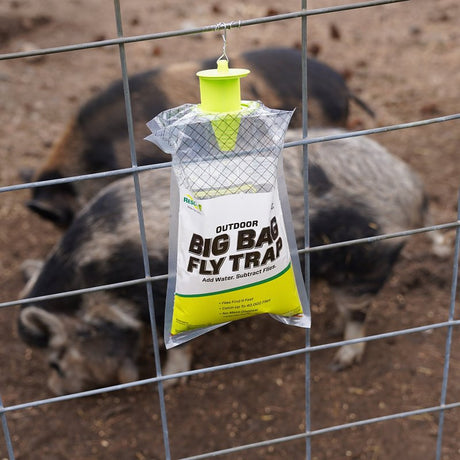 Rescue Big Bag BFTD-DB12-C Fly Trap, Granular, Musty, Bag, Pack of 12