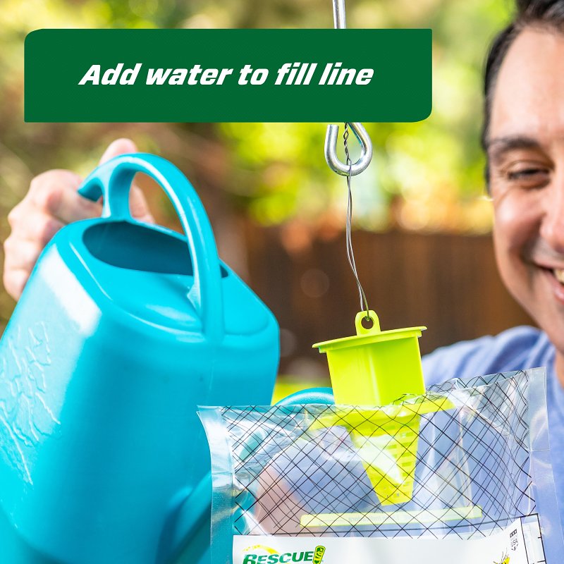Rescue YJTD-DB12-W-C Disposable Yellow Jacket Trap, Solid, Green Tea, Sweet, Pack of 12