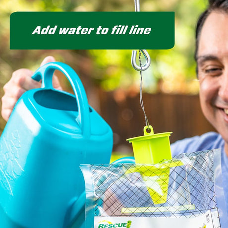 Rescue YJTD-DB12-W-C Disposable Yellow Jacket Trap, Solid, Green Tea, Sweet, Pack of 12
