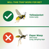 Rescue YJTD-DB12-W-C Disposable Yellow Jacket Trap, Solid, Green Tea, Sweet, Pack of 12