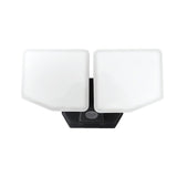 FLOOD LT AC 2HD BLK D2D 3000LM