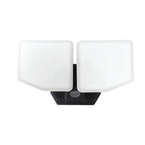 FLOOD LT AC 2HD BLK D2D 3000LM