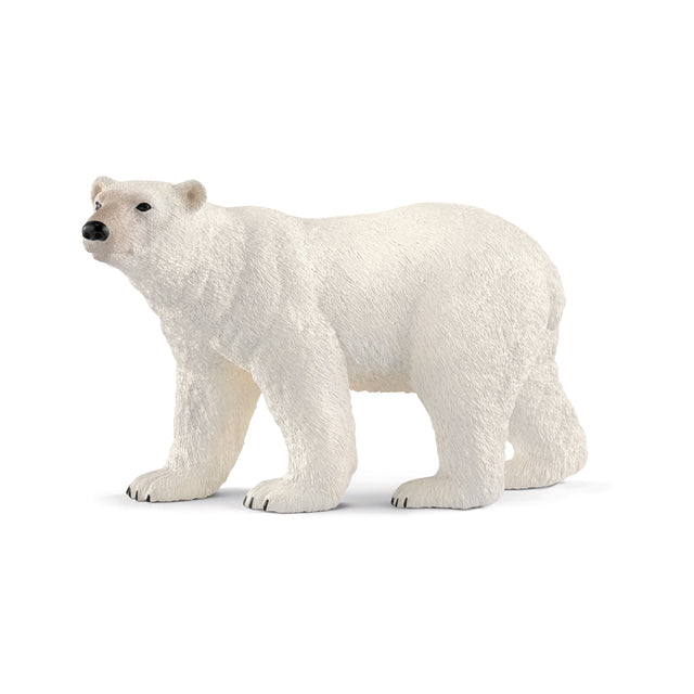 Schleich Wild Life Polar Bear Toy White, Pack of 5
