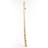 Second Nature Natural Birch Branches 32 in., Pack of 10