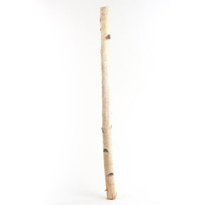 Second Nature Natural Birch Branches 32 in., Pack of 10