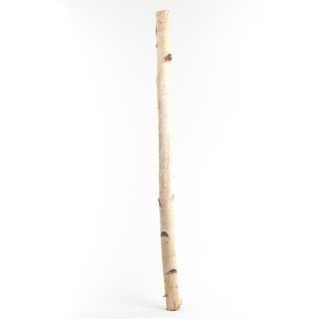 Second Nature Natural Birch Branches 32 in., Pack of 10