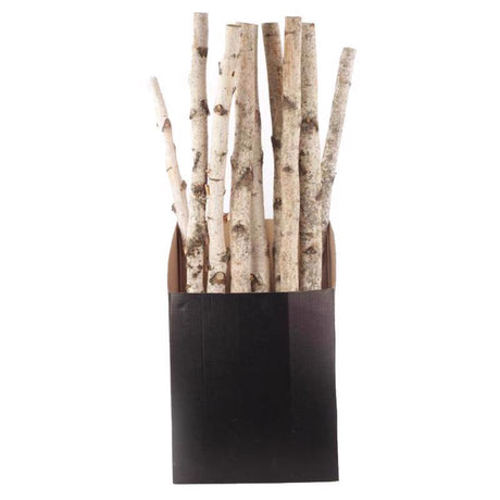 Second Nature Natural Birch Branches 32 in., Pack of 10